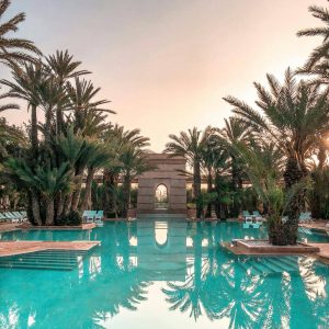 pexels-vince-2227774